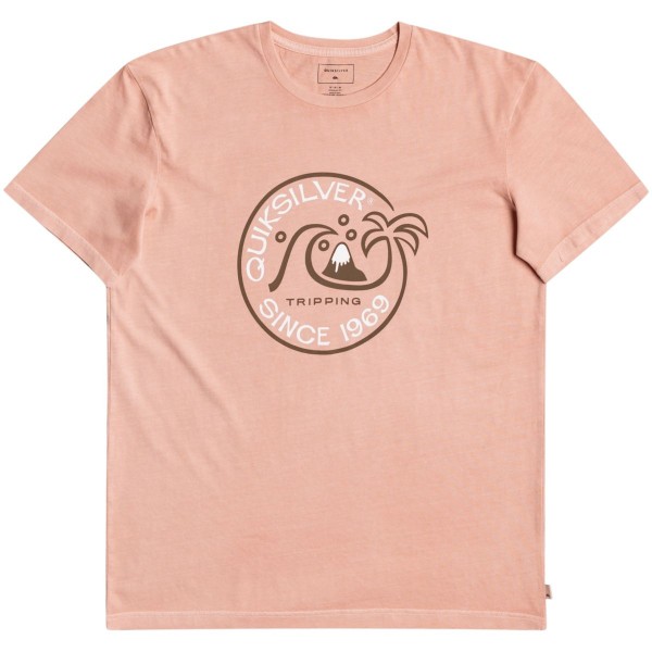 Quiksilver Into the Wide T-Shirt rose